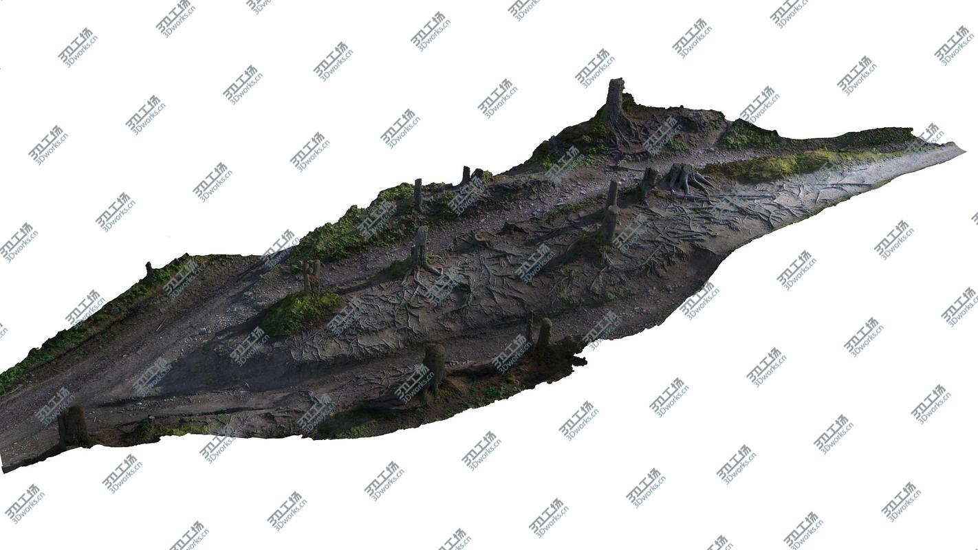 images/goods_img/202104091/Forest  Ultra HD 24K/4.jpg